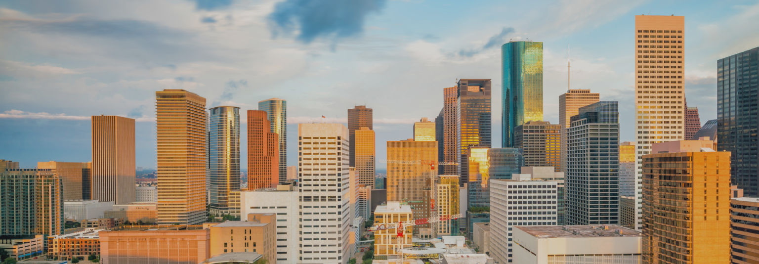 Houston Home Viking Rental