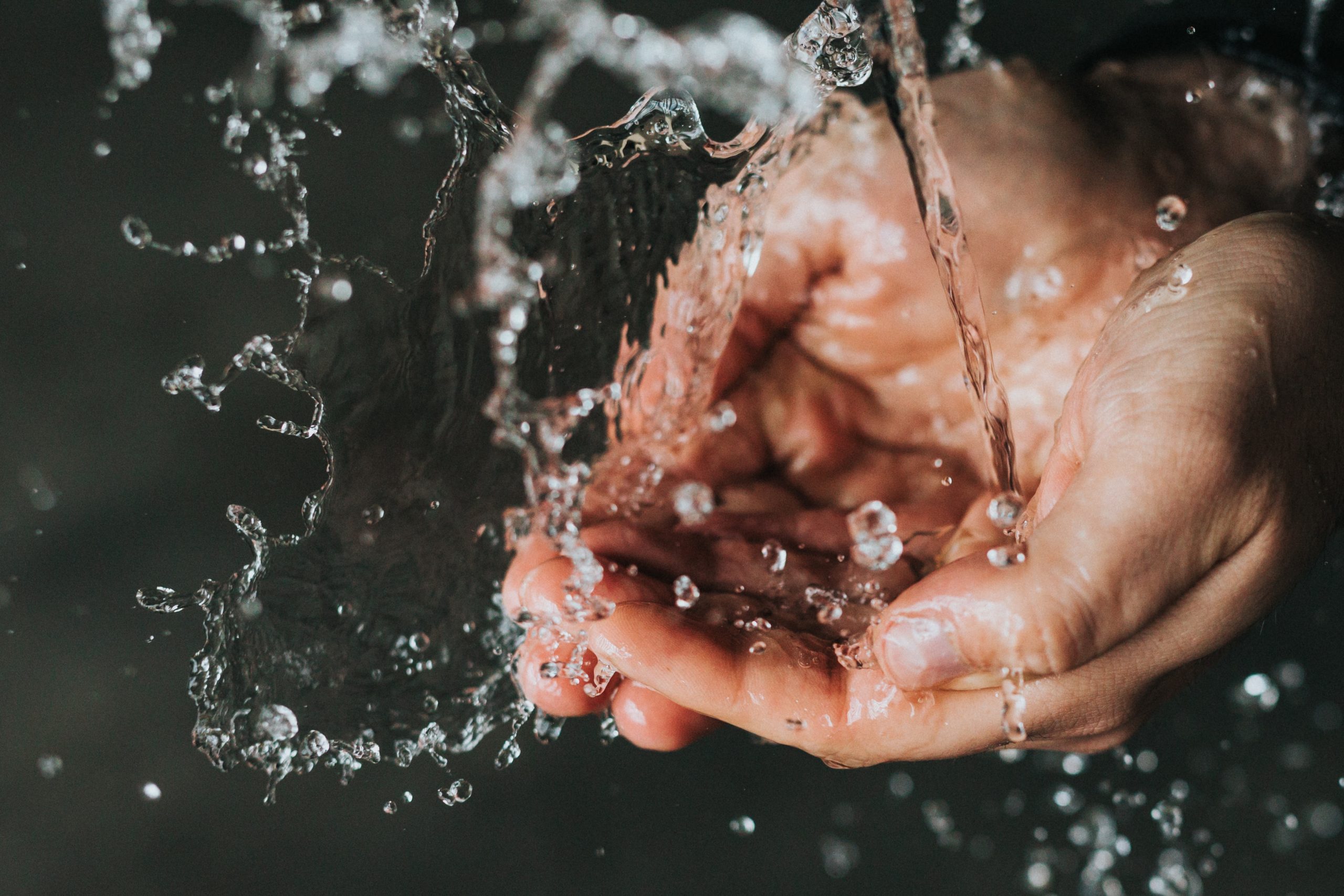 DIY Portable Hand Washing Station: Is it Worth the Work Or Should You Rent?